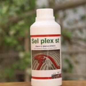 Sel Plex St