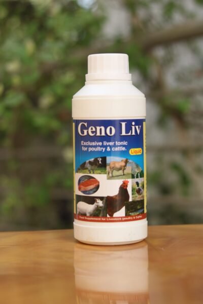 Geno Liv