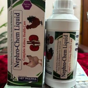 Nephro-Chem Liquid (Kidney Tonic)